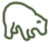 bear outline