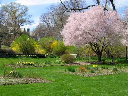 New Jersey Botanical Gardens In Ringwood New Jersey Spring
