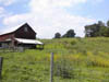Small dairy farm near Colesville, New Jersey