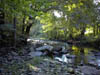 The Pequannock River in Northern New Jersey