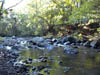 The Pequannock River in Nortehrn New Jersey