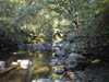 The Pequannock River in Northern New Jersey