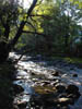 July along the Pequannock River in Northern New Jersey