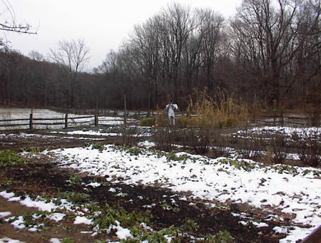 Wick House kitchen garden in Morristown, New Jersey