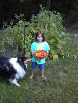 New Jersey is known for its delicious tomatoes