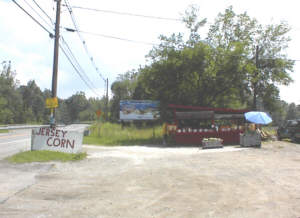 Fruit and vegetable stand near Hardystown, NJ