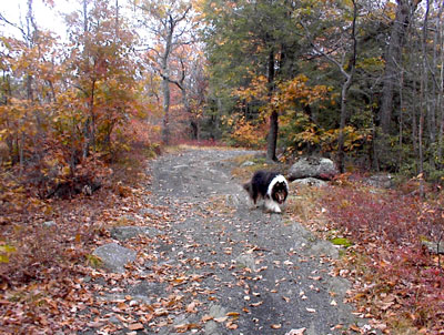 Bearfort Mountain in West Milford, New Jersey