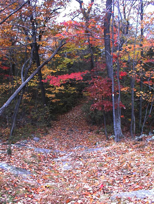 Bearfort Mountain in West Milford, New Jersey