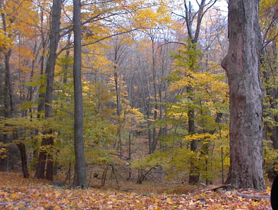 Bearfort Mountain in West Milford, New Jersey