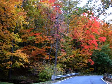 Fall colors in West Milford, NJ 10/19/2004