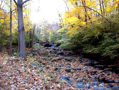 longpond1