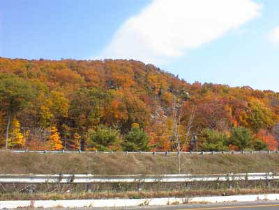 rt232