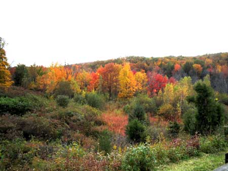 Wawayanda in West Milford, New Jersey