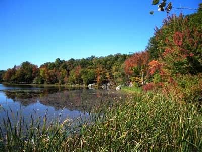 Fall colors at lake in Wawayanda State Park in Vernon, NJ 10/7/2004