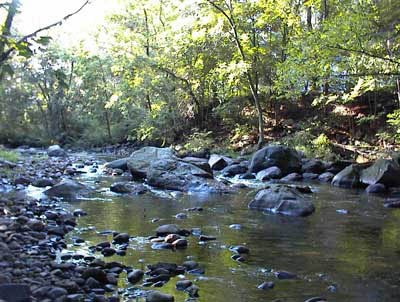Pequannock River during July in Butler, New Jersey
