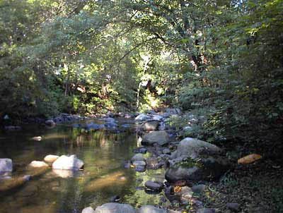 Pequannock River in Butler, New Jersey